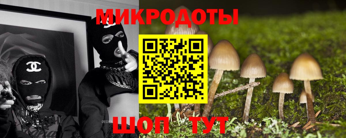 Псилоцибиновые грибы GOLDEN TEACHER  продажа наркотиков  Ессентуки  Вход с VPN 