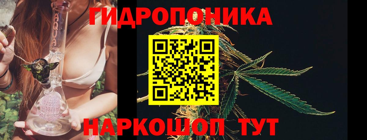 Ессентуки  Шишки марихуана планчик  Шишки марихуана сатива  Шишки марихуана индика  Вход с VPN 